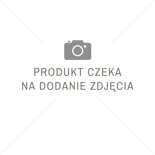 Podłoża mineralne